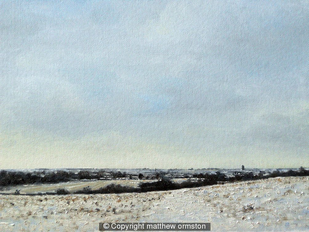 Snow on the Woodlands