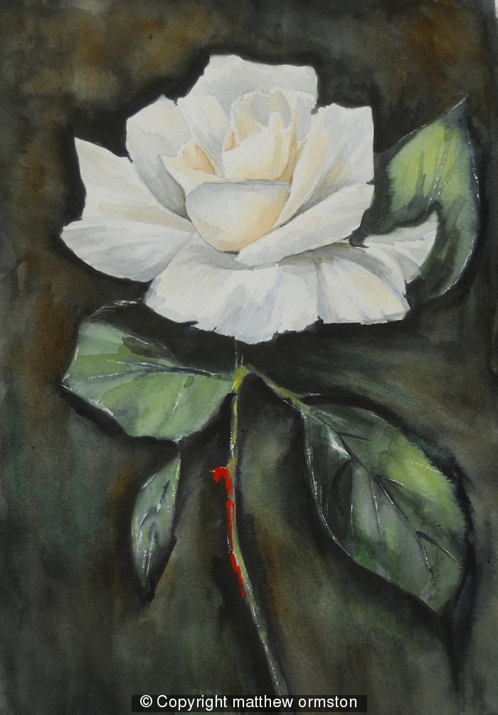 Blonde Rose