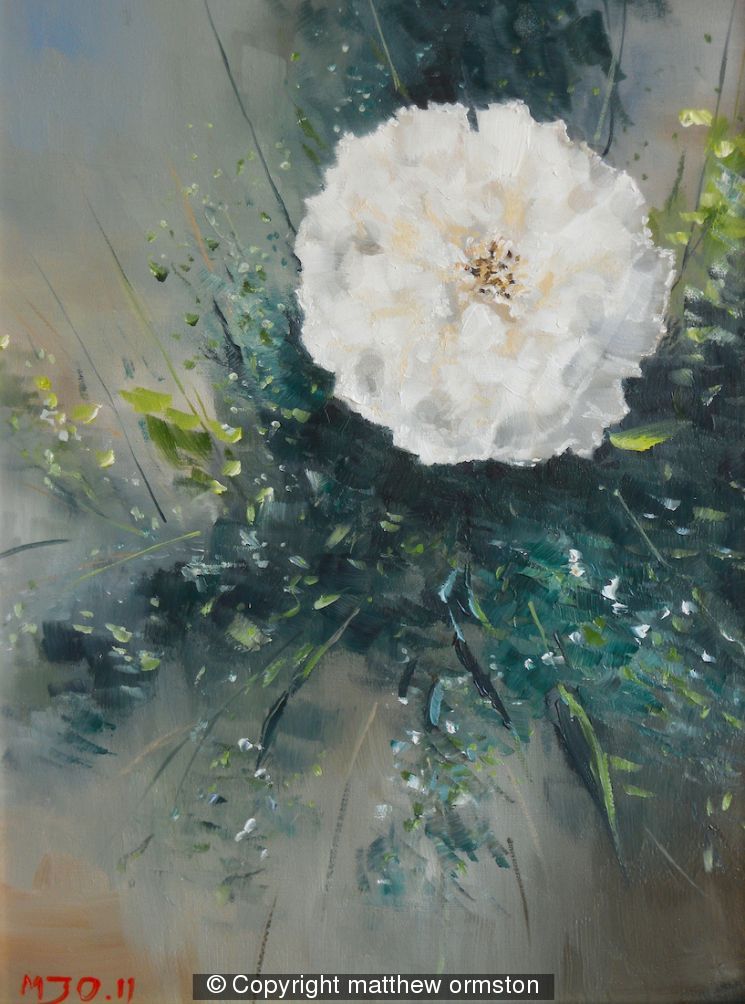 English Rose