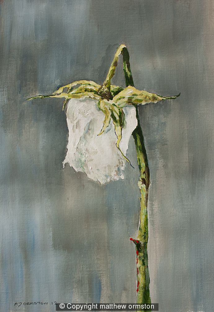 Dying Rose 2