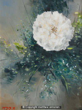 English Rose