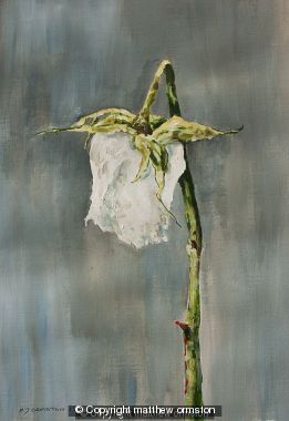 Dying Rose 2