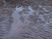 Low Tide