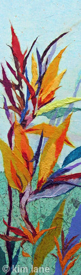 strelitzia--1
