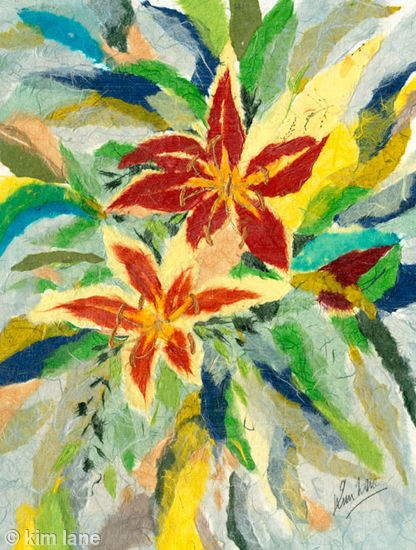 Stargazer