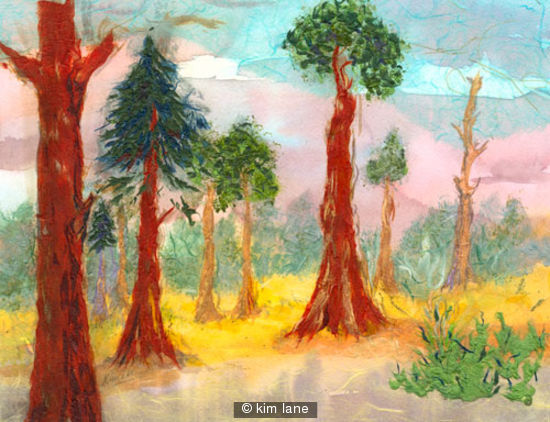 Calaveros Redwoods