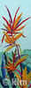 Strelitzia-2