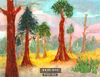 Calaveros Redwoods