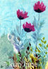 Poppies