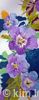 Violas