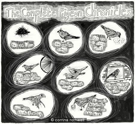 The Complete Pigeon Chronicles