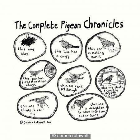 Pigeon Chronicles bag design