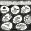The Complete Pigeon Chronicles