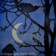 Crows by Moonlight