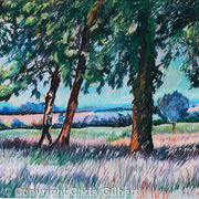 English field
