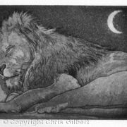 Sleeping lion