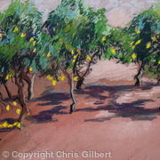 Lemon Grove
