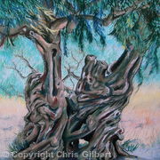 Olive tree
