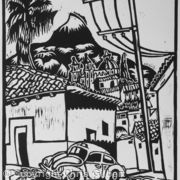 Taxco Taxi