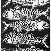 Mackerel
