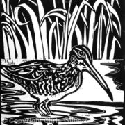 Snipe