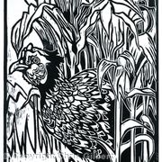 Pheasant