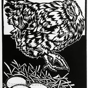 Hen