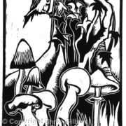 Mushrooms