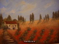 A Tuscan Vinyard