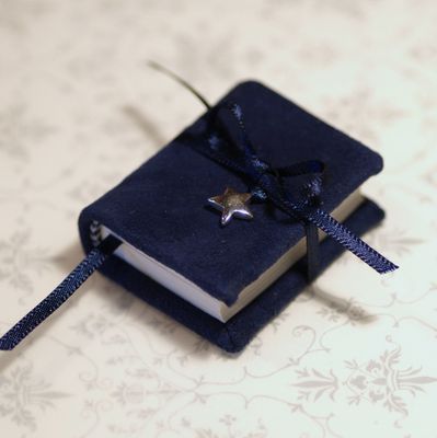 Silver Star Tiny Book £18