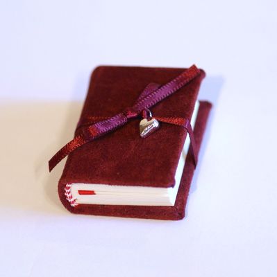 ECHO Heart Tiny Book £18