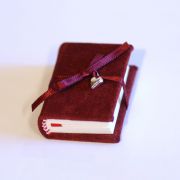 ECHO Heart Tiny Book £16