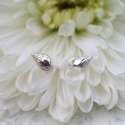 Shell Tiny Earrings £12