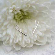 Hedgerow Twig Earrings £19