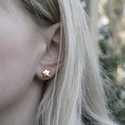 Gold Collection- 9ct Gold Star Earrings £138