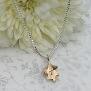 Gold Collection- 9ct White and Yellow Gold Oak Leaf Necklace £205