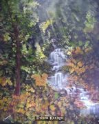 Swallow Falls