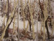 Birch Trees in Brown
