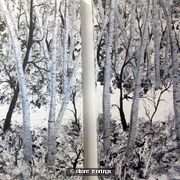 Silver Birches