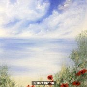 Poppies in The Breeze