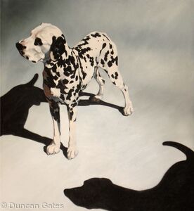 2 Dalmations