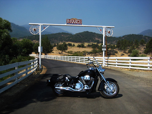 Iron horse
