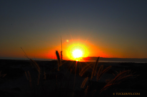 Loma sunset