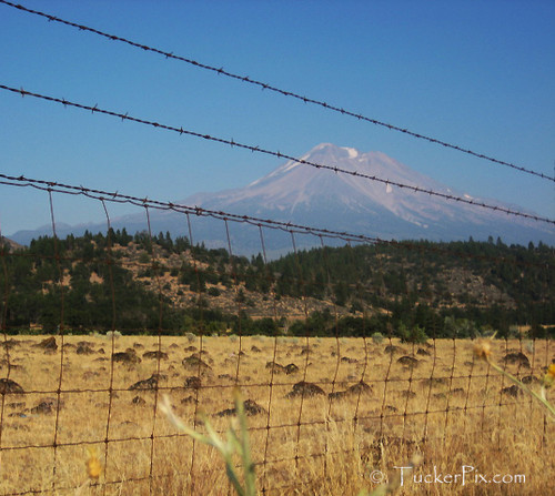 Fenced In or Out