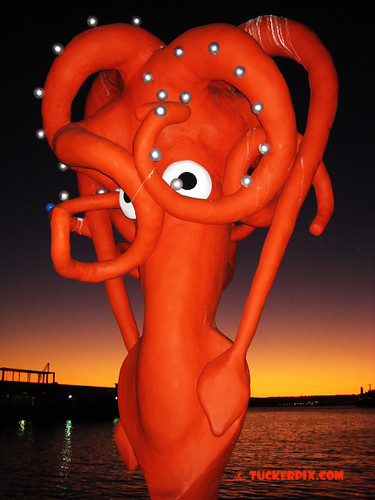 Squid art