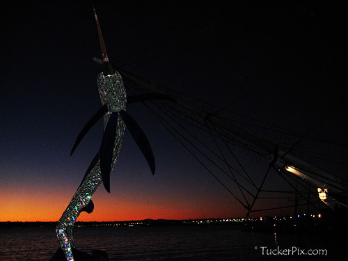 Swordfish art