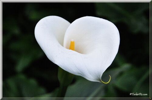 Nature's message