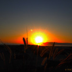 Loma sunset