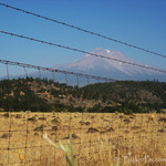 Fenced In or Out