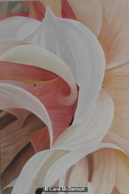 dahlia petals